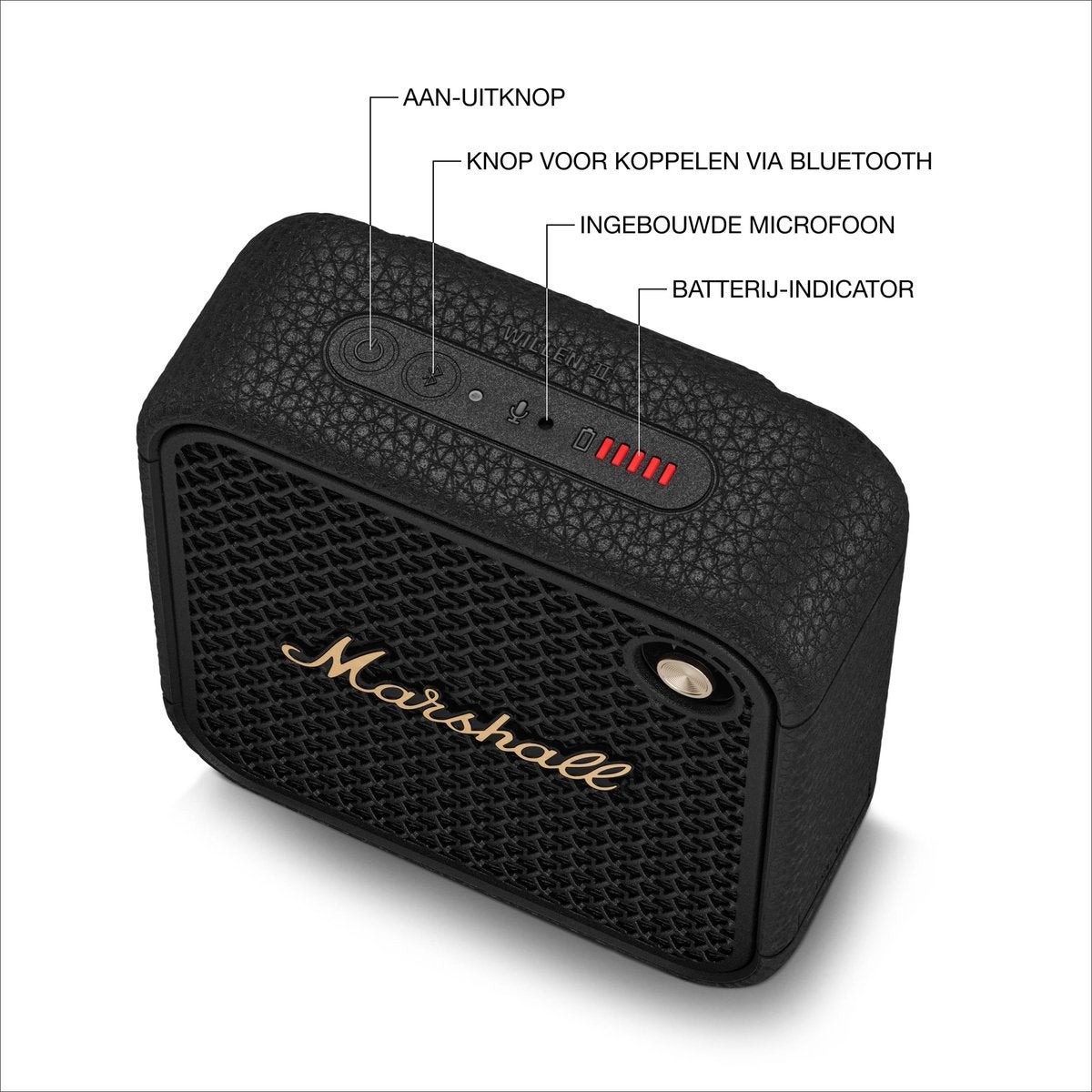 Marshall Willen II Black Brass